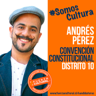 ANDRÉS PÉREZ – Convención Constitucional D10