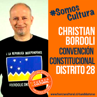 CHRISTIAN BORDOLI AQUEVEQUE – Convención Constitucional D28