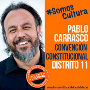 PABLO CARRASCO – Convención Constitucional D11