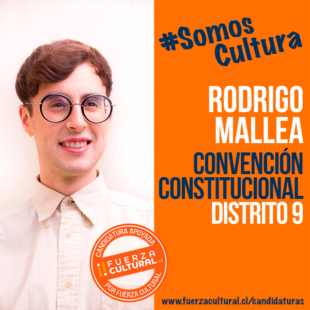 RODRIGO MALLEA – Convención Constitucional D9
