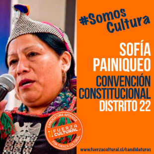 SOFÍA PAINIQUEO – Convención Constitucional D22