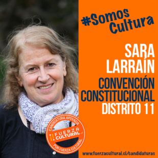 SARA LARRAÍN – Convención Constitucional D11