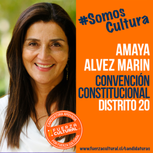 AMAYA ALVEZ MARÍN – Convención Constitucional D20