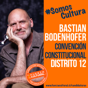 BASTIAN BODENHOFER – Convención Constitucional D12