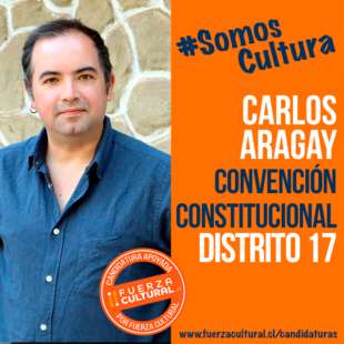 CARLOS ARAGAY – Convención Constitucional D17