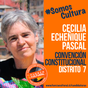 CECILIA ECHEÑIQUE PASCAL – Convención Constitucional D7