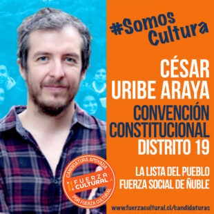 CÉSAR URIBE ARAYA – Convención Constitucional D19