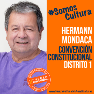 HERMANN MONDACA RAITERI – Convención Constitucional D1