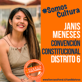 JANIS MENESES PALMA – Convención Constitucional D6
