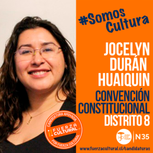 JOCELYN DURÁN HUAIQUIN – Convención Constitucional D8