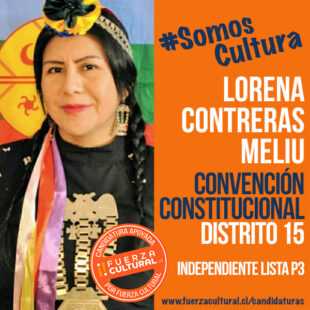LORENA CONTRERAS MELIU – Convención Constitucional D15