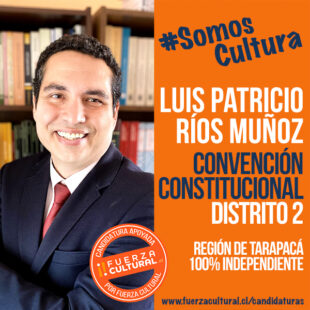 LUIS PATRICIO RÍOS – Convención Constitucional D2