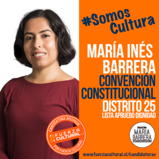 MARÍA INÉS BARRERA – Convención Constitucional D25