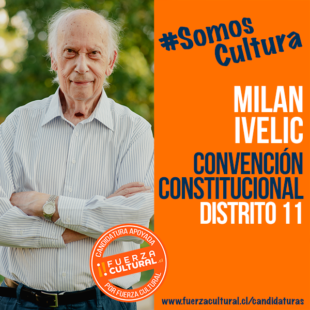 MILAN IVELIC KUSANOVIC – Convención Constitucional D11