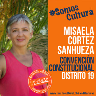 MISAELA CORTÉS – Convención Constitucional D19