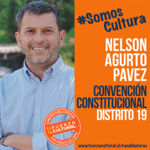NELSON AGURTO – Convención Constitucional D19