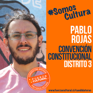 PABLO ROJAS VARAS – Convención Constitucional D3