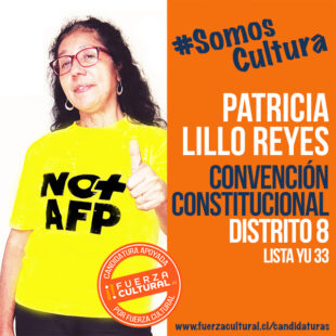 PATRICIA LILLO – Convención Constitucional D8