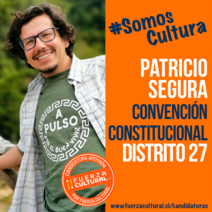 PATRICIO SEGURA – Convención Constitucional D27