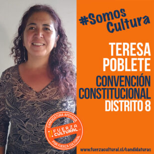 TERESA POBLETE – Convención Constitucional D8