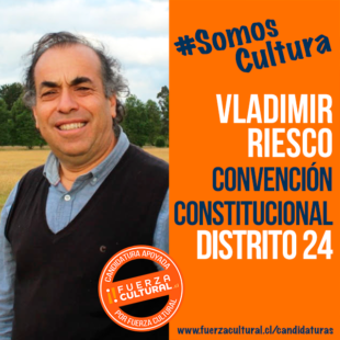 VLADIMIR RIESCO – Convención Constitucional D24