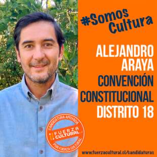 ALEJANDRO ARAYA – Convención Constitucional D18