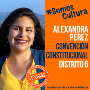 ALEXANDRA PÉREZ – Convención Constitucional D6