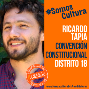 RICARDO TAPIA – CONVENCIÓN CONSTITUCIONAL D18