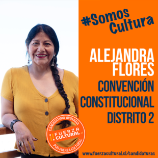 ALEJANDRA FLORES – CONVENCIÓN CONSTITUCIONAL D2